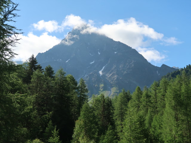 Schwabenkopf vom Verpeiltal aus (28. Juni)