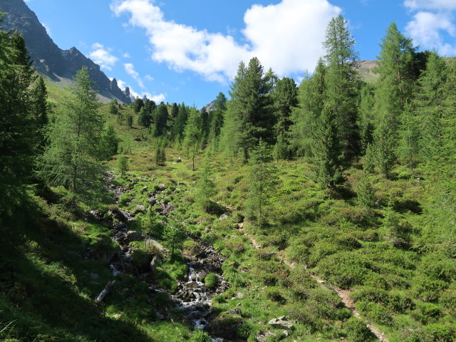 zwischen Sch&ouml;nb&ouml;dele und Madatschkopf (28. Juni)