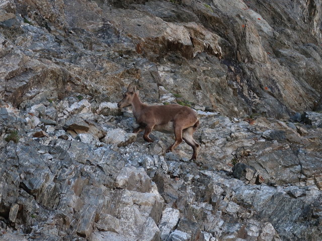 zwischen Kaunergrath&uuml;tte und Verpeilspitze-Normalweg (29. Juni)