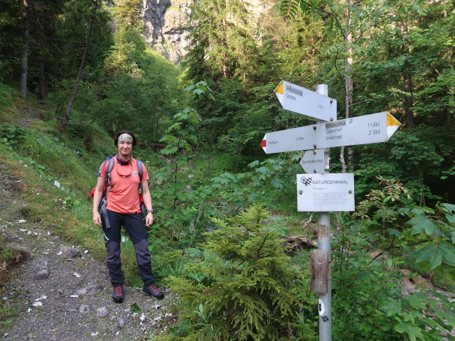 Carmen zwischen Dalaas in Klostertaler Klettersteig