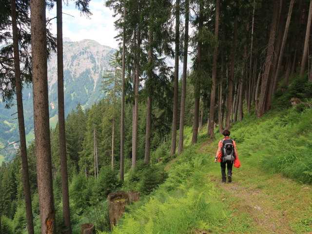 Carmen im Dalaaser Gemeindewald