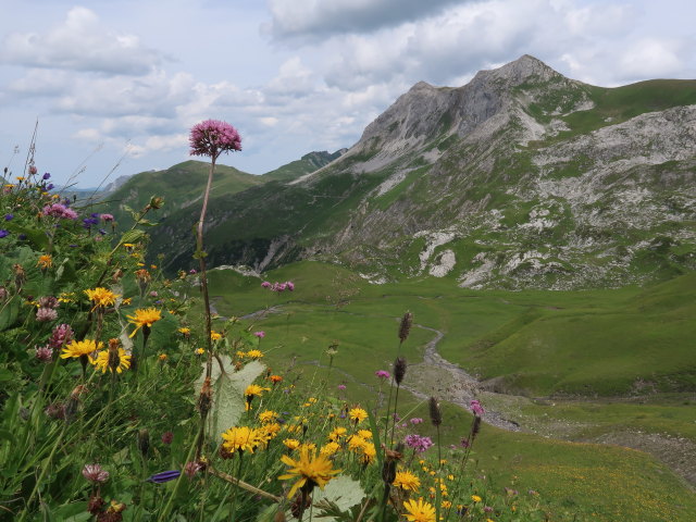 Ochseng&uuml;mple (20. Juli)