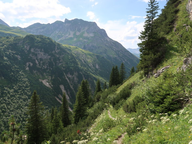 zwischen Monzabonalpe und Z&uuml;rs (20. Juli)