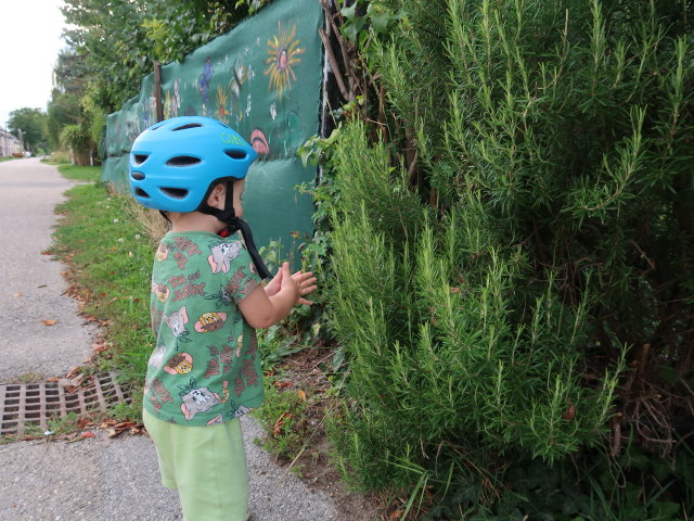 Nils in der Alten Stra&szlig;e