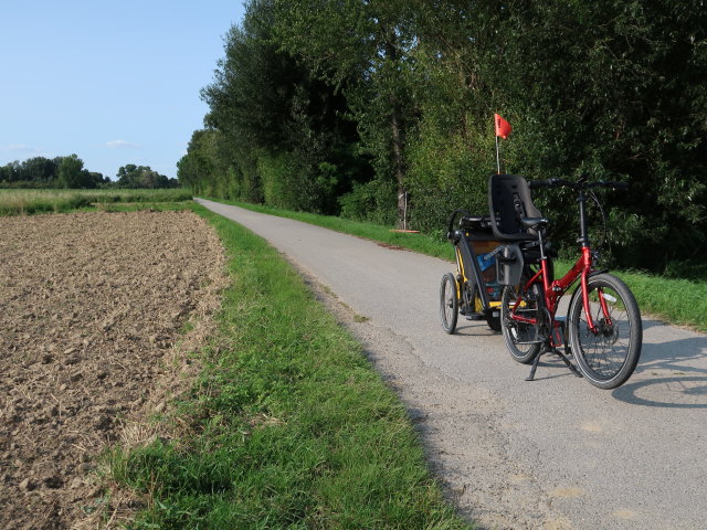 Nils zwischen Schleinbach und Ulrichskirchen