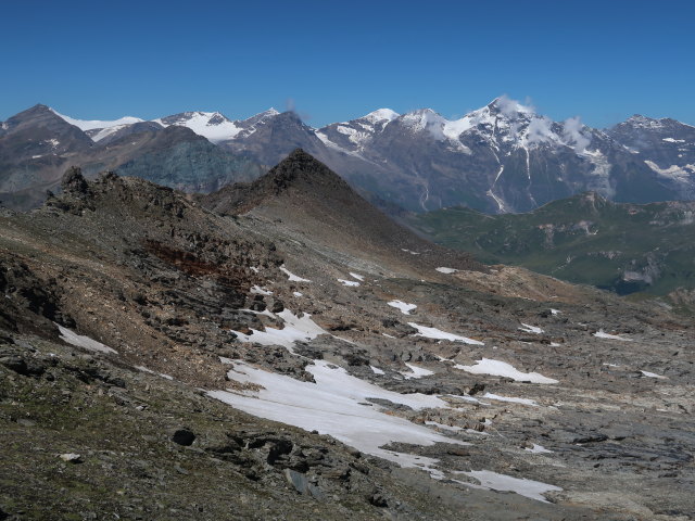 Wei&szlig;enbachkees (8. Aug.)