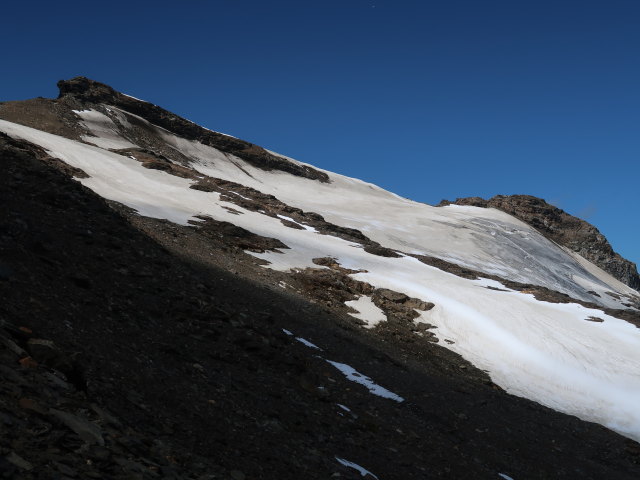 Hocharnkees (8. Aug.)