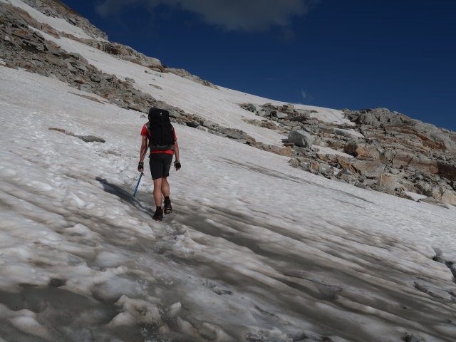 Ronald am Kleinflei&szlig;kees (8. Aug.)