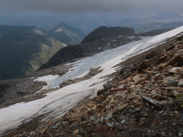 Schareckkees (9. Aug.)