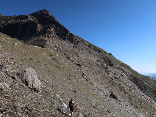 Ronald am Hagener Weg zwischen Feldseescharte und Hagener H&uuml;tte (10. Aug.)