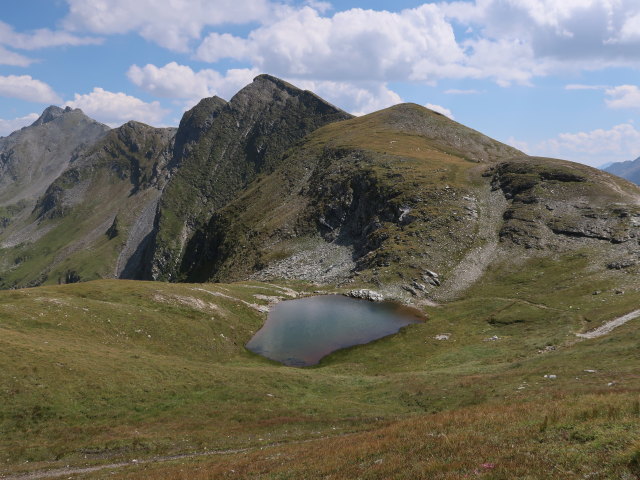 Greilkopf (10. Aug.)