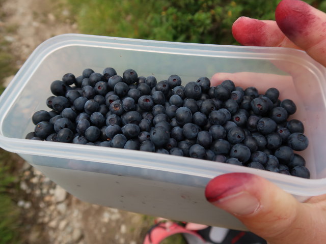 zwischen Eselkar und Veitbaueralm (10. Aug.)