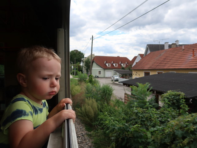 Nils zwischen Z&ouml;bing und Sch&ouml;nberg am Kamp