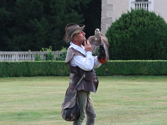 Falknereivorf&uuml;hrung