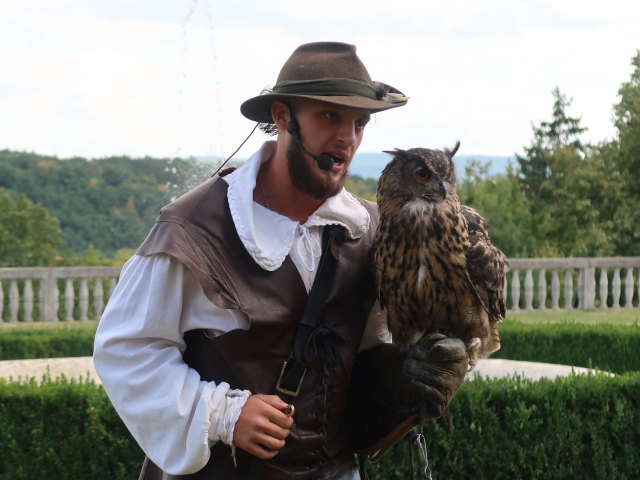 Falknereivorf&uuml;hrung