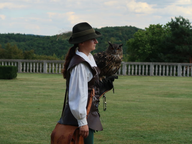 Falknereivorf&uuml;hrung