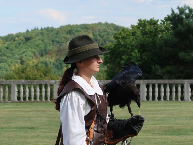 Falknereivorf&uuml;hrung