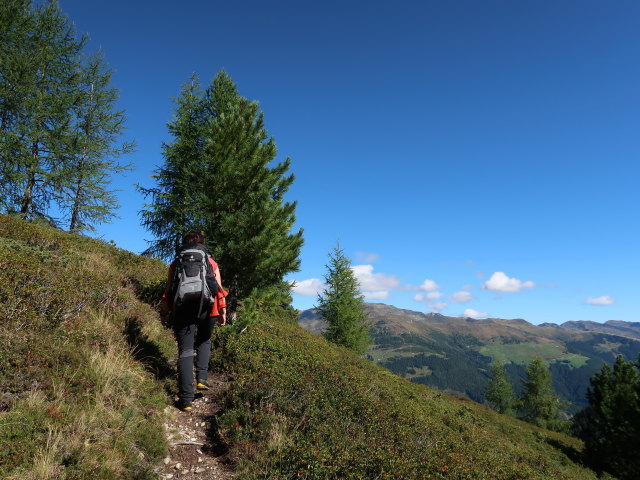 Carmen zwischen Wei&szlig;bachalm-Mitterleger und Torhelm