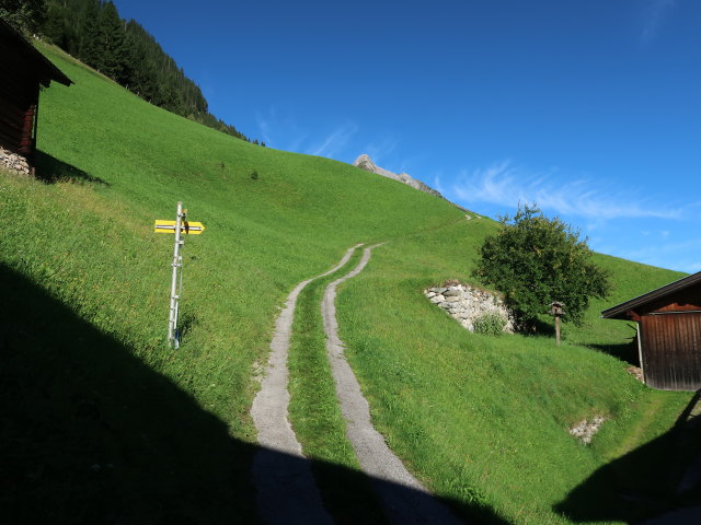 zwischen Kolmhaus und Ahornach