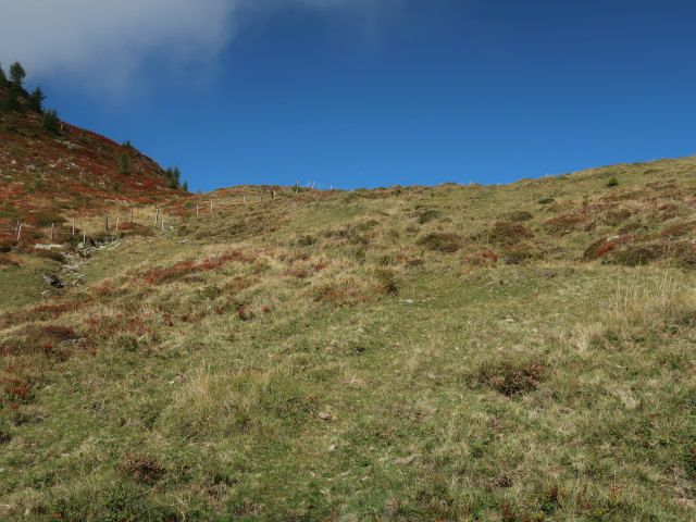 zwischen Thorer und Staller Tor