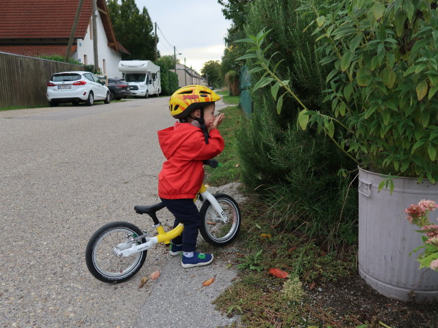 Nils in der Alten Stra&szlig;e