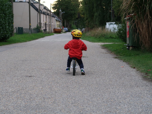 Nils in der Alten Stra&szlig;e