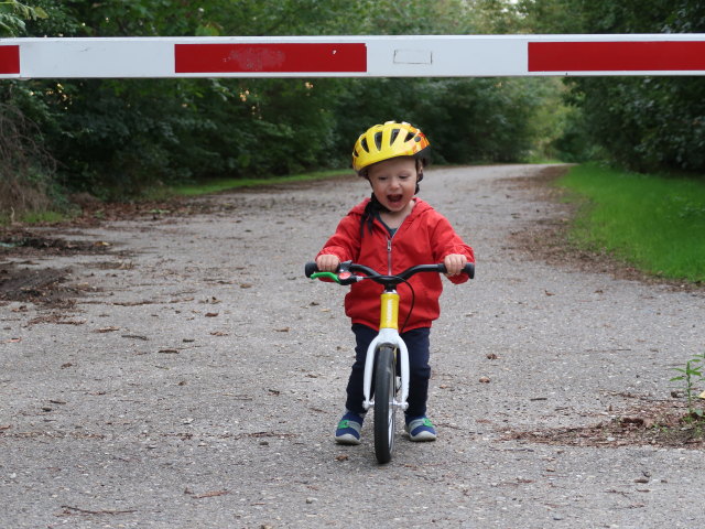 Nils in der Alten Stra&szlig;e