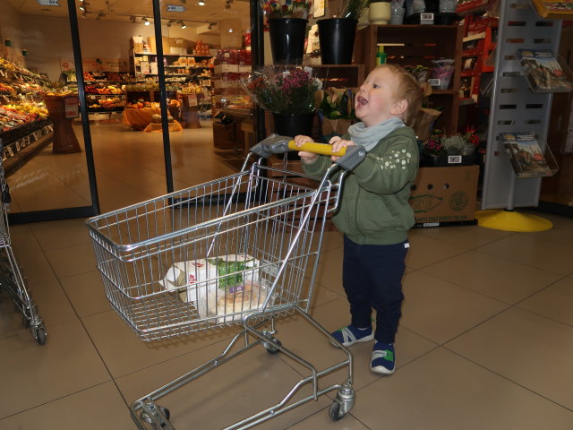 Nils im Billa Oleandergasse