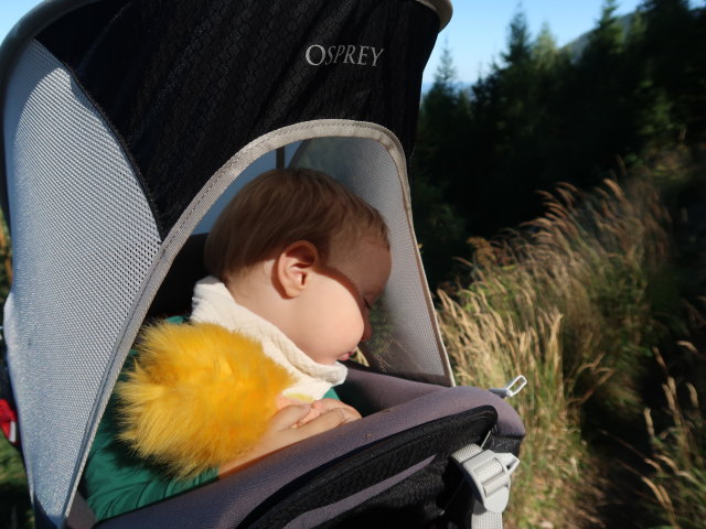 Nils zwischen Bahnhof Semmering und Pinkenkogel