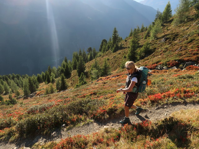 Evelyn zwischen Lehnerjoch und Ludwigsburger H&uuml;tte (20. Sep.)