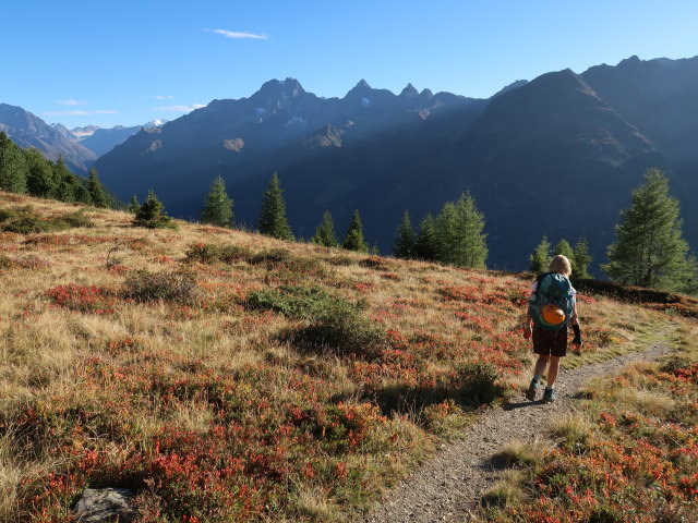 Evelyn zwischen Lehnerjoch und Ludwigsburger H&uuml;tte (20. Sep.)