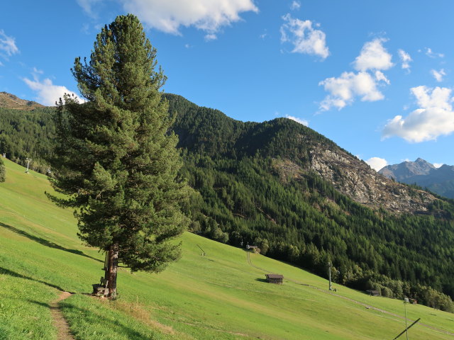 zwischen Hochzeigerhaus und Li&szlig; (21. Sep.)