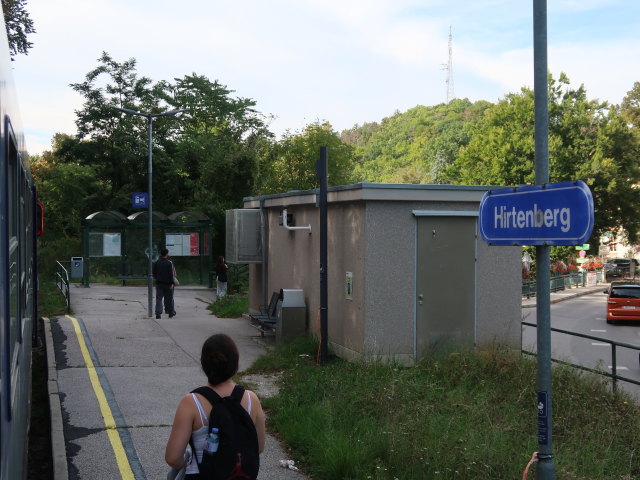 Haltestelle Hirtenberg, 287 m
