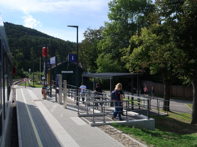 Haltestelle St. Veit an der Triesting, 299 m