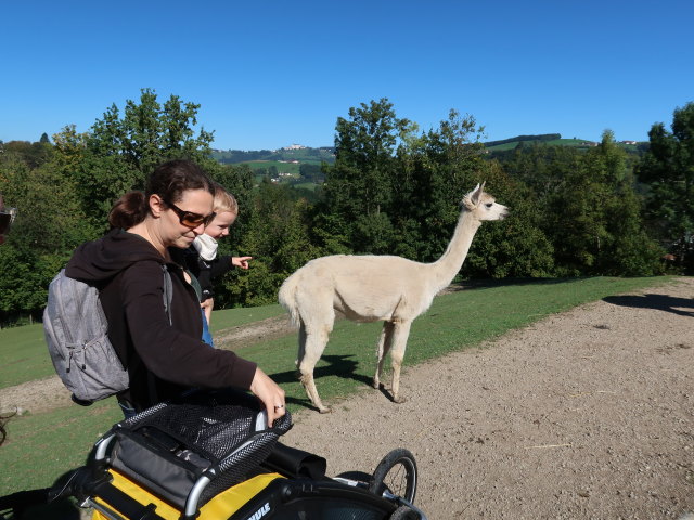 Sabine und Nils im Tierpark Buchenberg