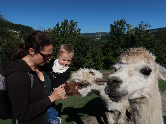 Sabine und Nils im Tierpark Buchenberg
