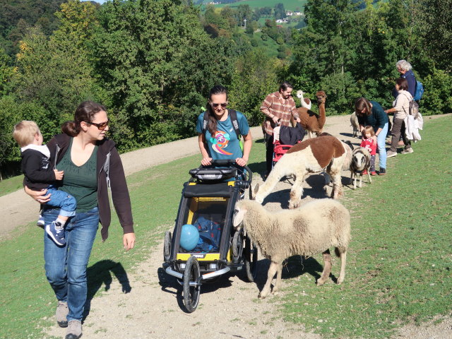 Nils, Sabine, Ursa, Manuel, Ella und Hannelore im Tierpark Buchenberg