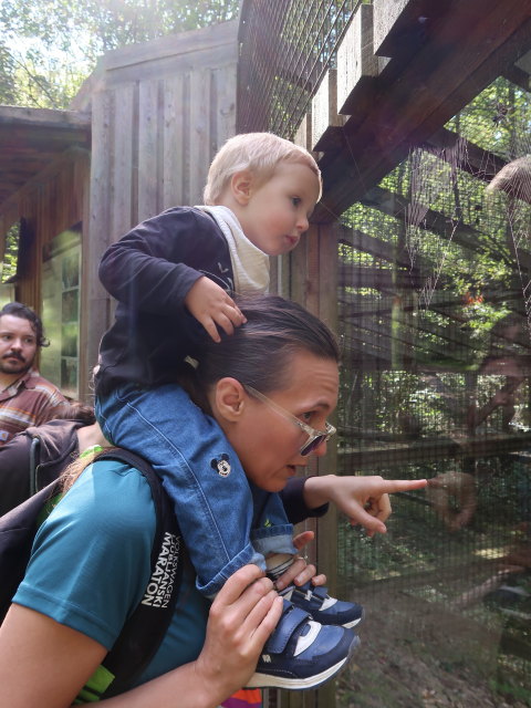 Manuel, Nils und Ursa im Tierpark Buchenberg