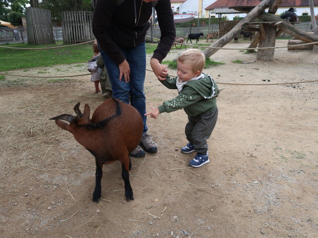 Sabine und Nils im Streichelzoo