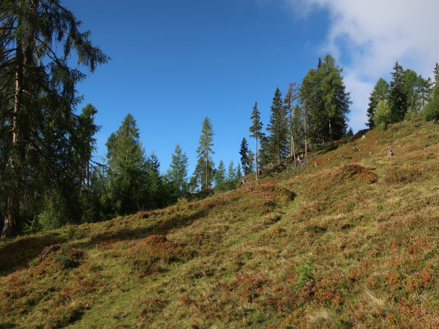 zwischen Thorer und Staller Tor