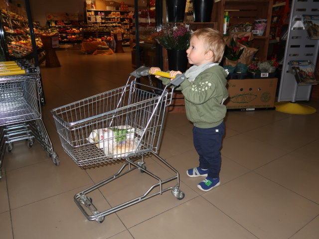 Nils im Billa Oleandergasse