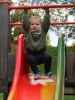 Nils am Spielplatz