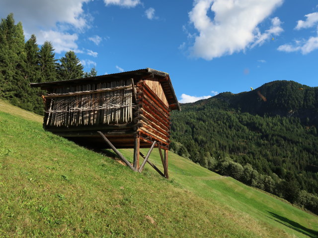 zwischen Hochzeigerhaus und Li&szlig; (21. Sep.)