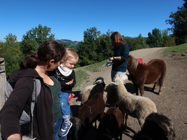 Sabine, Nils und Hannelore im Tierpark Buchenberg