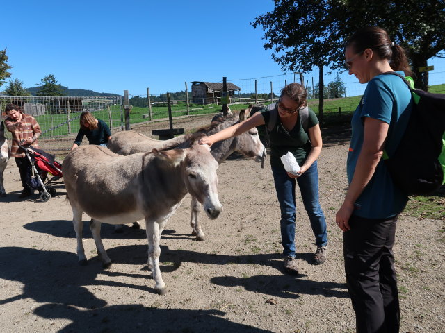 Manuel, Hannelore, Sabine und Ursa im Tierpark Buchenberg