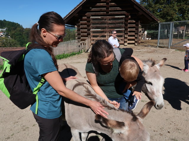 Ursa, Sabine und Nils im Tierpark Buchenberg