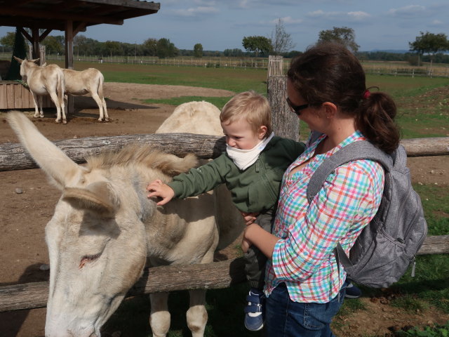 Nils und Sabine bei den wei&szlig;en Barockeseln