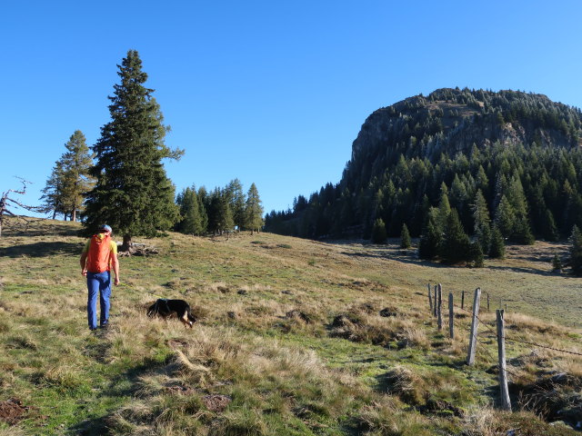 Georg zwischen Reschenbergalm und Saukarkopf