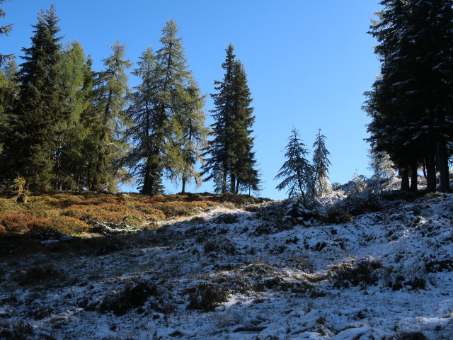zwischen Saukaralm und Karalm
