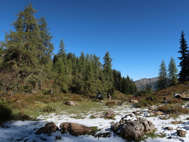 zwischen Saukaralm und Karalm